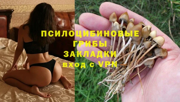 крисы Аркадак