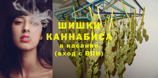 крисы Аркадак